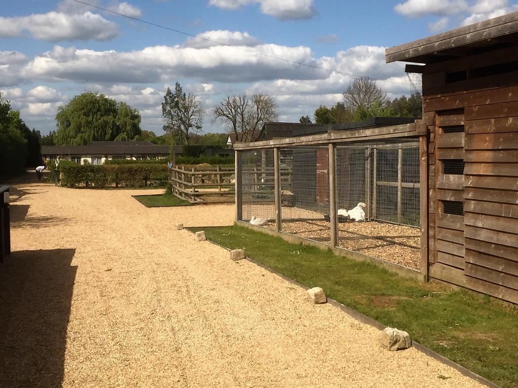 Willow Court Farm Studio West & Petting Farm, 8 Mins To Legoland & Windsor, 15 Mins To Lapland Uk Villa Exterior photo